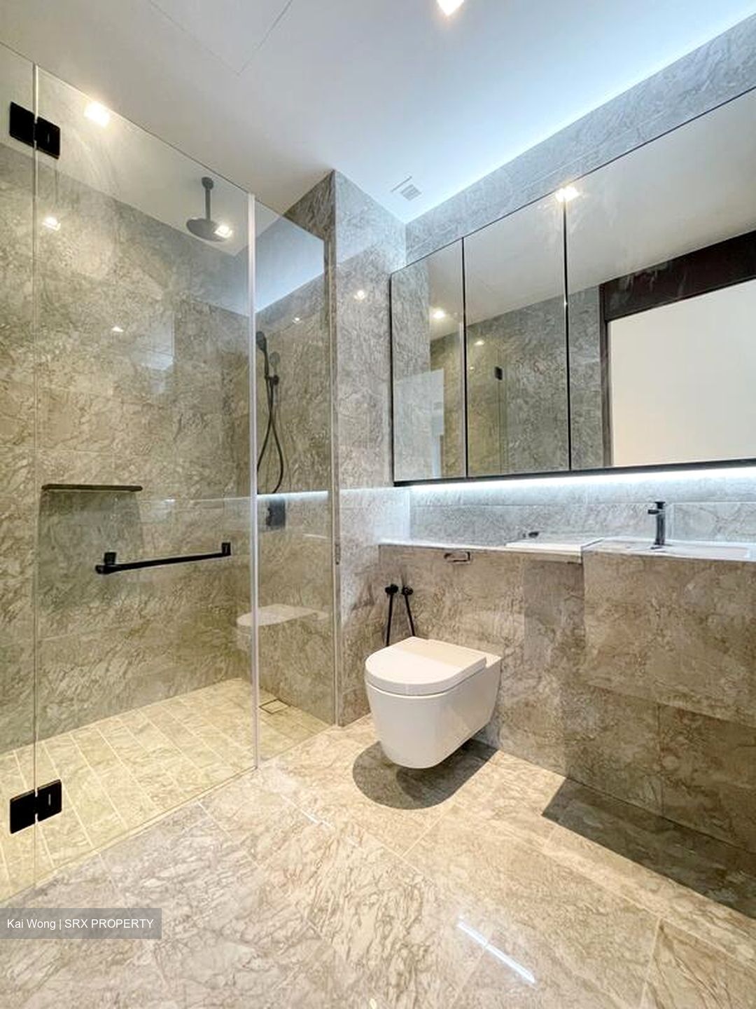 Jervois Privé (D10), Apartment #503763811